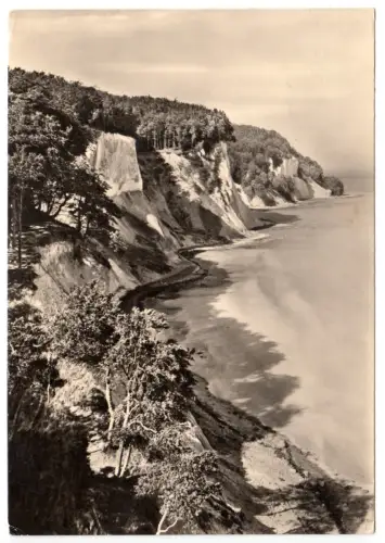 AK, Insel Rügen, Kreidesteilküste zwischen Saßnitz und Stubbenkammer, 1966