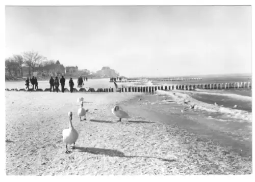 AK, Kühlungsborn Kr. Bad Doberan, winterliche Strandpartie, 1985