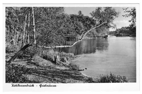 AK, Berlin Wannsee, OT Kohlhasenbrück, Partie am Griebnitzsee, um 1960