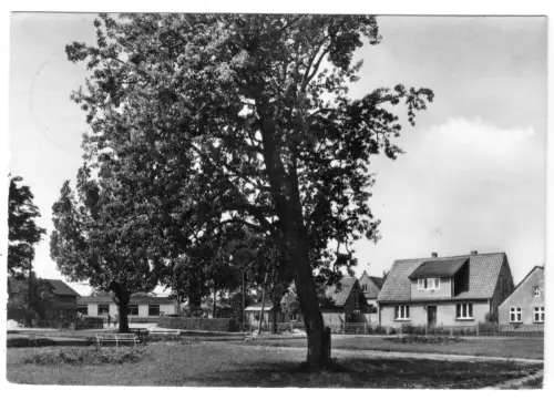 AK, Wiek Rügen, Partie am Friedensplatz, 1973