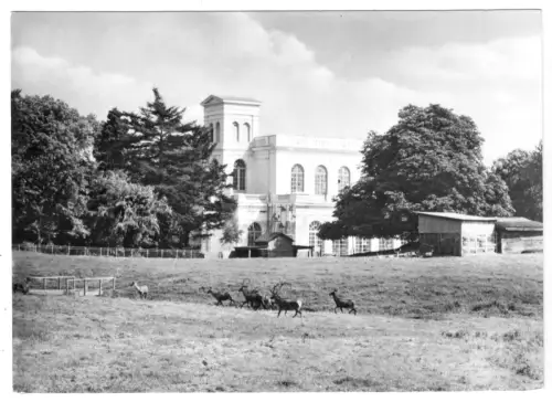 AK, Putbus Rügen, Tierpark und Ev. Christuskirche, 1975