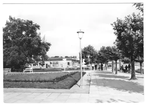 AK, Ostseebad Göhren Rügen, An der Promenade, Teilansicht, 1977