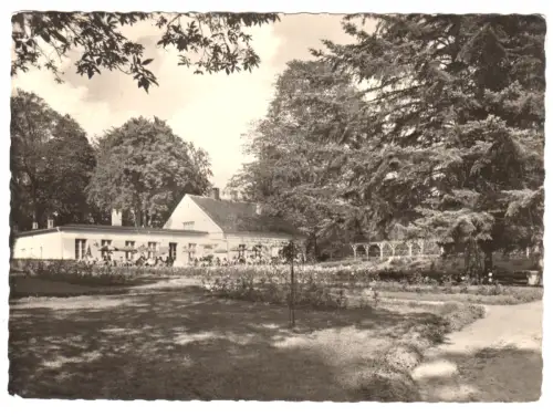 AK, Putbus Rügen, Konsum Gaststätte Rosencafé, Version 2, 1958