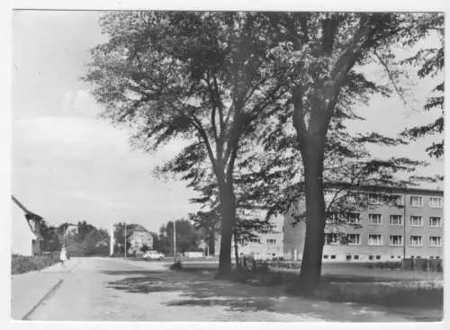 AK, Wiek Rügen, Straßenpartie mit Neubaublöcken, 1980