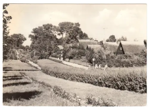 AK, Insel Poel, Schwarzer Busch, Promenade, Version 2, 1972