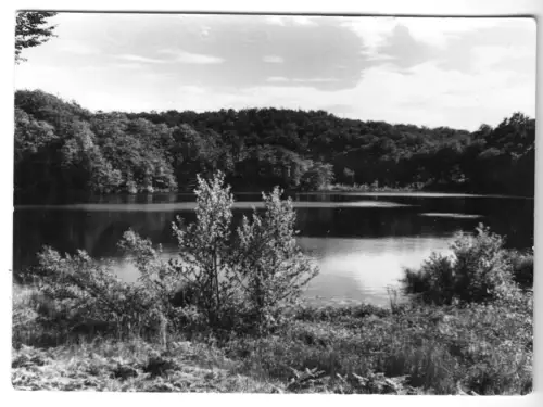 AK, Sellin Rügen, Partie am Schwarzen See, 1966