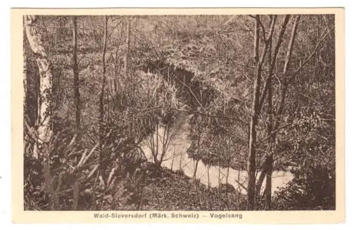 AK, Wald-Sieversdorf Märk. Schweiz, Vogelsang, um 1930