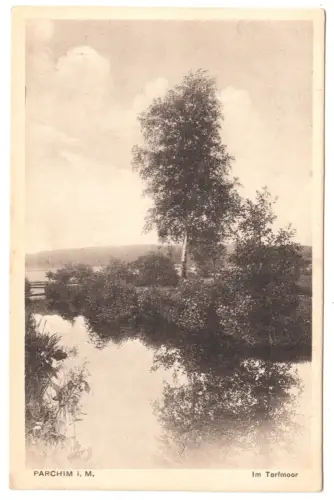 AK, Parchim i. M., Partie im Torfmoor, um 1930