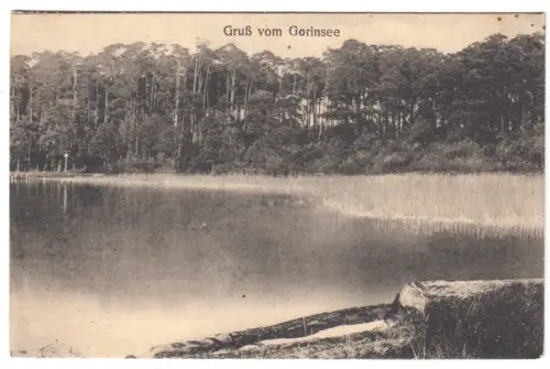 AK, Wandlitz, Partie am Gorinsee, 1916