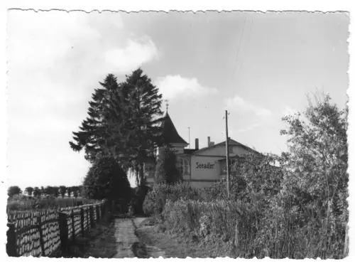 AK, Sellin Rügen, Haus Seeadler, um 1965, Echtfoto