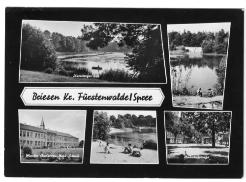AK, Briesen Kr. Fürstenwalde Spree, fünf Abb., gestaltet, 1964