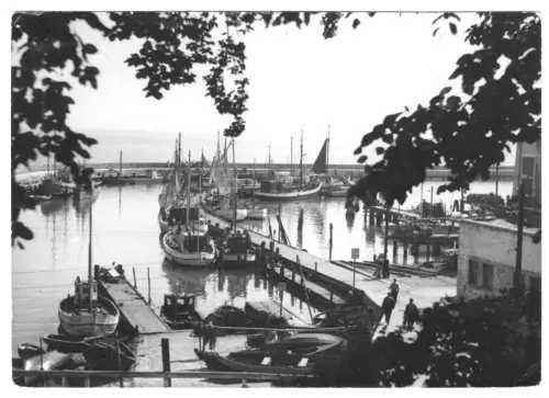 AK, Sassnitz Rügen, Saßnitz, Fischkutter im Hafen, um 1967