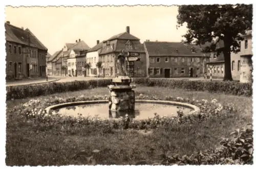 AK, Bad Lausick Sachs., Fischbrunnen am Untermarkt, 1966