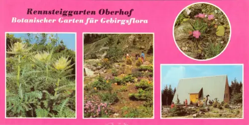 AK lang, Oberhof Thür. Wald, Rennsteiggarten Oberhof, vier Abb., 1981