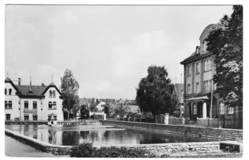 AK, Neustadt a. d. Orla, Am Gamsenteich, 1963