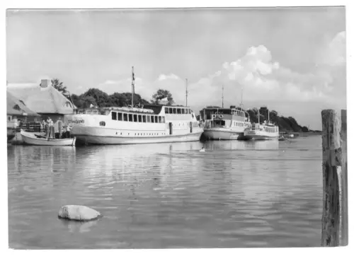 AK, Kloster Insel Hiddensee, Hafenpartie mit Schiffen der Weißen Flotte, 1966
