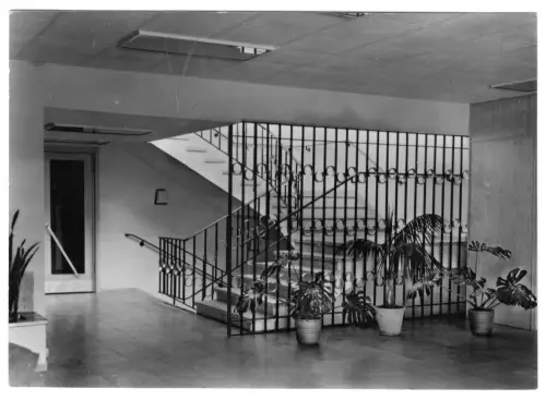 AK, Feldberg Meckl., FDGB-Heim Freundschaft, Treppenhaus, 1969