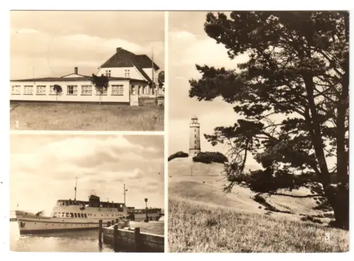AK, Insel Hiddensee, drei Abb., u.a. "Stranddistel", 1969