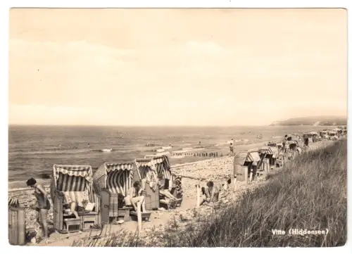 AK, Vitte Insel Hiddensee, Strandpartie, belebt, 1964