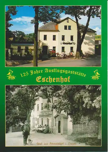 Ansichtskarte Ammelsdorf Schmiedeberg Erzgebirge Eschenhhof 2003