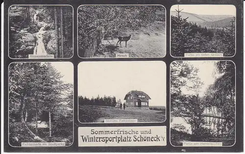 Ansichtskarte Schöneck Vogtland Mehrbildkarte Skihütte Fichtenharfe ua. ca. 1912