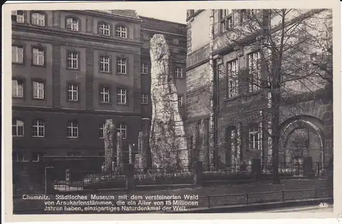 Ansichtskarte Chemnitz Versteinerter Wald Museum Foto 1932