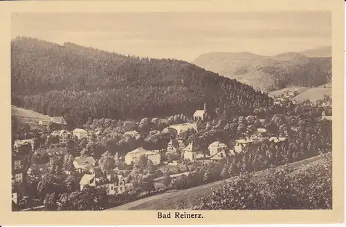 Ansichtskarte Bad Reinerz / Duszniki-Zdrój Gesamtansicht Glatzer Bergland ca. 1920