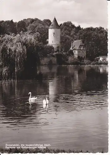 Ansichtskarte Dinkelsbühl Faulturm Rothenburger Weiher Foto ca. 1960