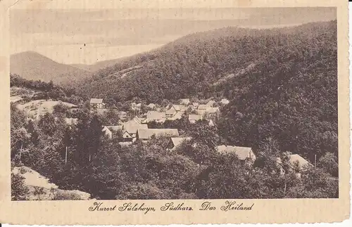 Ansichtskarte Sülzhayn Harz Heiland 1918