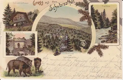 Ansichtskarte Schwarzatal Thüringen Schweizerhaus Eberstein Helenensitz Farblitho 1903