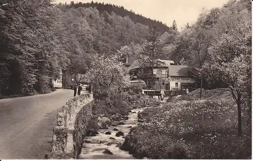 Ansichtskarte Trusetal Gasthaus Pension z. Trusetaler Wasserfall Foto 1960