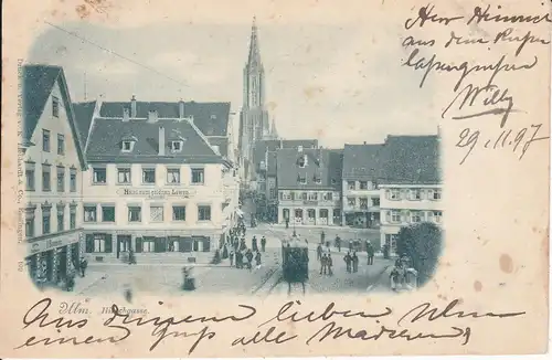 Ansichtskarte Ulm Hirschgasse Hotel z. Goldenen Löwen Münster 1897