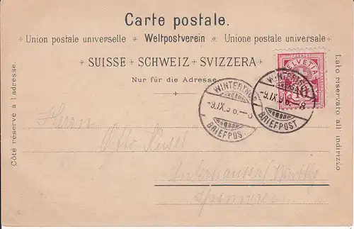Ansichtskarte Zürich Gesamtansicht Alpen / Farblitho 1896