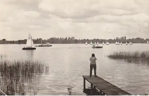 Ansichtskarte Wendisch Rietz Scharmützelsee Segelregatta Foto ca. 1960