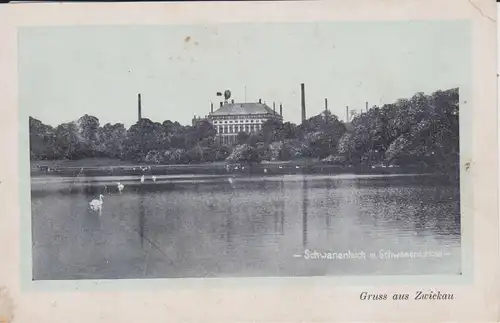 Ansichtskarte Zwickau Schwanenteich mit Schwanenschloss ca. 1920