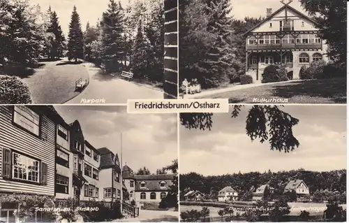 Ansichtskarte Friedrichsbrunn Harz Mehrbildkarte Kurpark Strokorb Kulturhaus Pensionshäuser
