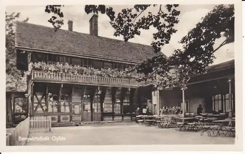 Ansichtskarte Oybin Bergwirtschaft Gastgarten Zittauer Gebirge Foto 1955