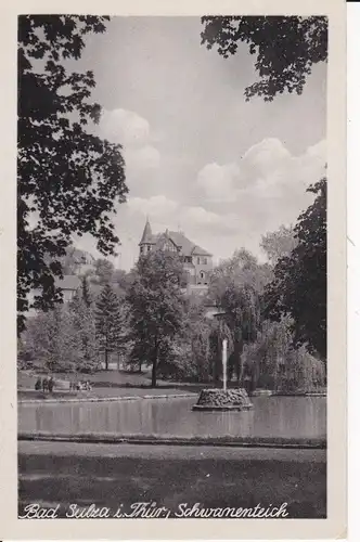 Ansichtskarte Bad Sulza Schwanenteich ca. 1950