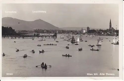 Ansichtskarte Wien Alte Donau Ruderboote Kahlenberg Leopoldsberg Foto 1938