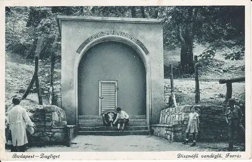 Ansichtskarte Budapest Zugliget / Auwinkel Schweinequelle Disznófö vendeglö forrás 1938