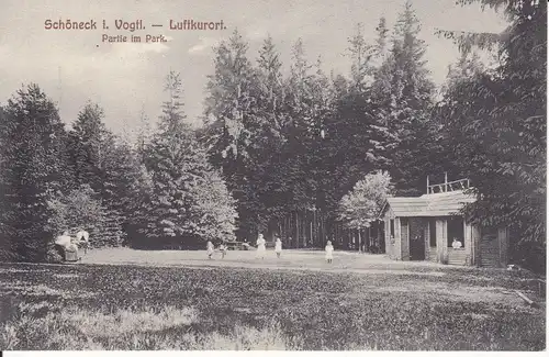 Ansichtskarte Schöneck Vogtland Park Hütte Pavillon 1913