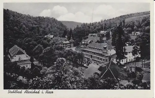 Ansichtskarte Alexisbad im Harz Ortsansicht 1937