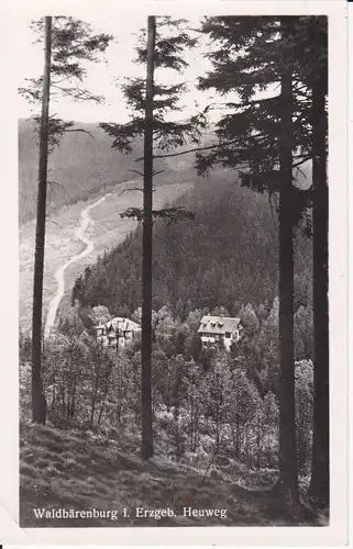 Ansichtskarte Waldbärenburg b. Kipsdorf Erzgebirge Heuweg Foto 1960