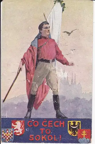 Ansichtskarte Kunstpostkarte "Co Cech to Sokol!" Sokol Turnerbund Tschechoslowakei 1919