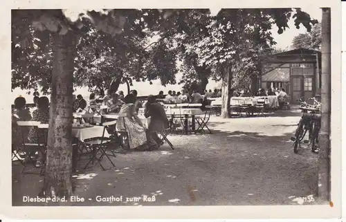 Ansichtskarte Diesbar / D.-Seußlitz Gasthof zum Roß Gastgarten Foto 1958