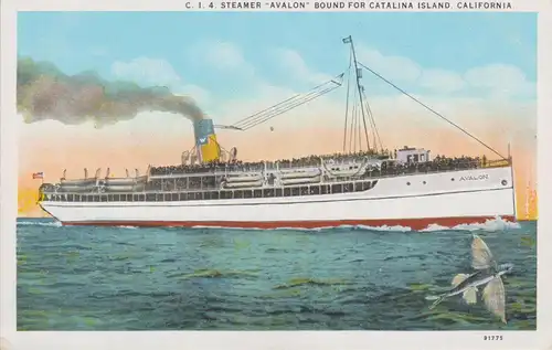 Ansichtskarte Dampfer Avalon Catalina Island Kalifornien