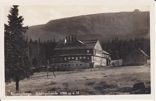 Ansichtskarte Schlingelbaude Riesengebirge Krummhübel Foto ca. 1930