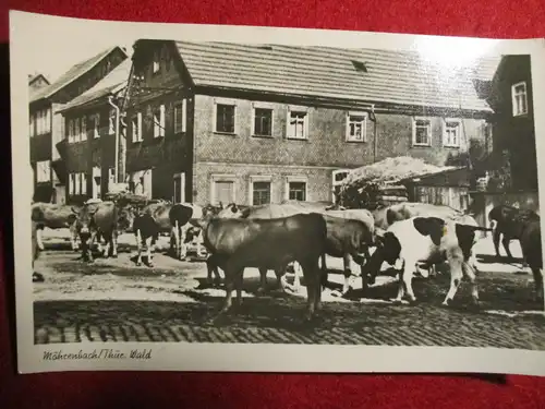 [Echtfotokarte schwarz/weiß] Möhrenbach / Thür. Wald. 