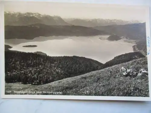 [Echtfotokarte schwarz/weiß] Walchenseeblick vom Jochberggipfefl. 