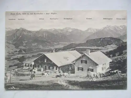 [Echtfotokarte schwarz/weiß] Alpe Eck 1224 m , bei Sonthofen i. bayr. Allgäu
zusätzlich im Panorama Beschriftung der Berge: Nebelhorn, Rubihorn, Höfats, Marchspitze, Krottenkopf, Kratzer, Mädelergabel, Hohes Licht. 